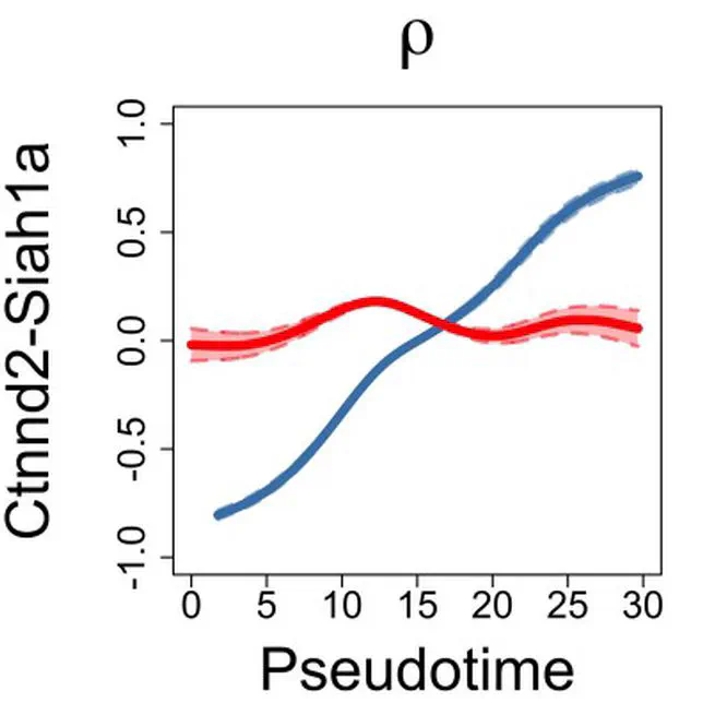 Time-coexpress: temporal trajectory modeling of dynamic gene co-expression patterns using single-cell transcriptomics data